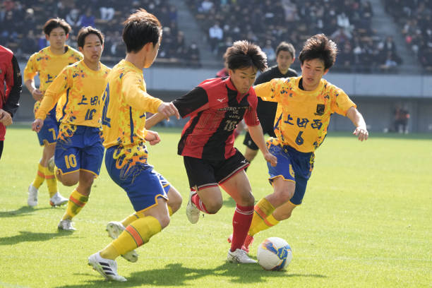 减少碳排放 减少碳排放